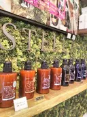 yama chieのプロフィール画像