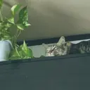 太田 新菜のプロフィール画像