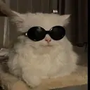 ひめか 🌟のプロフィール画像