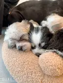 Noah【ノア】 Kanae/名古屋のプロフィール画像