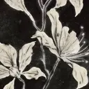 新高円寺 Miranoのプロフィール画像