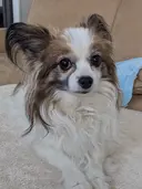 中島 梢のプロフィール画像