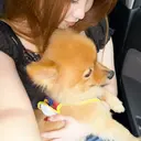 eyelash kanaのプロフィール画像