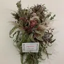 ぽーらこらいゆ 名西店　かねこのプロフィール画像