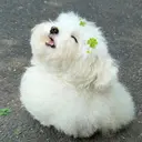 マツエク モデルのプロフィール画像