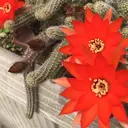 山田 あかりのプロフィール画像