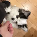 本山 凜のプロフィール画像