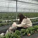 Lucia 今村のプロフィール画像