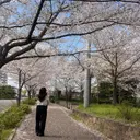 Pualice 船崎のプロフィール画像