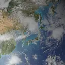 アイブロウリスト せのプロフィール画像