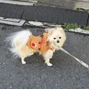 髪質改善✨艶髪✨ レイヤーカット 田畑のプロフィール画像