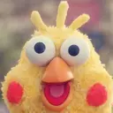 堀内 さつきのプロフィール画像