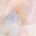 LIGAR YUKAのプロフィール画像