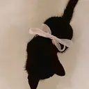 laboT satsukiのプロフィール画像