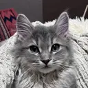 大和 秀輔のプロフィール画像