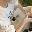 モチヅキ ミクのプロフィール画像