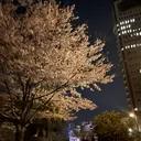 山岸 美憂のプロフィール画像