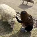 杉村 宙香のプロフィール画像