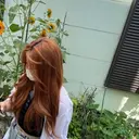 Stella 岩﨑のプロフィール画像