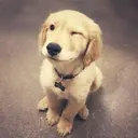 nana koのプロフィール画像