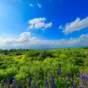 夜特化型サロン⭐️ 日の出町　Yuuのプロフィール画像