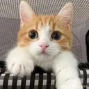 NAILS Soraのプロフィール画像