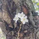 大久保 陽子のプロフィール画像