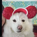 葛西 美佐子のプロフィール画像