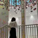 🌷 おとはのプロフィール画像