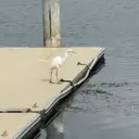 セプトネイル YAMAZAKIのプロフィール画像