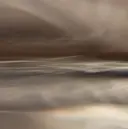 mii 【フィルイン導入】のプロフィール画像