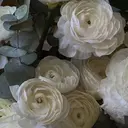 meRK京都駅前店✾ mayukiのプロフィール画像