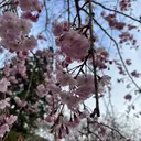 MII 三宅のプロフィール画像