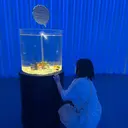 松岡 美乃のプロフィール画像