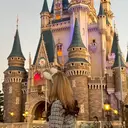 田口 侑佳のプロフィール画像