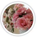 古屋 加代子のプロフィール画像