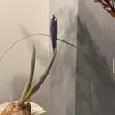 óæk nailのプロフィール画像