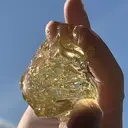 パッチリオメメ 小田島のプロフィール画像