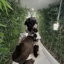 渡邊 彩花のプロフィール画像