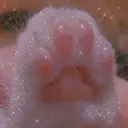 中谷 ゆきのプロフィール画像