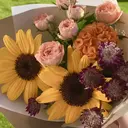 タムラ ハンナのプロフィール画像