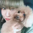 Seis Shihoのプロフィール画像