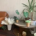 リラケア蒲生店 水科のプロフィール画像