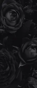 吉岡 美里のプロフィール画像