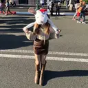 nekoRu meiのプロフィール画像