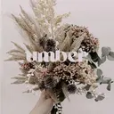 umber 三茶1分のプロフィール画像