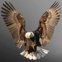 髪質改善field 古川のプロフィール画像