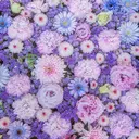 久田 マナミのプロフィール画像