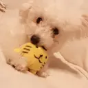 🤍 ナナ🤍のプロフィール画像