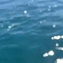 _ mのプロフィール画像